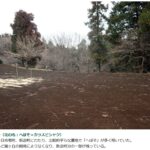 へぼそ（花の名：へぼそ＝カラスビシャク） 昔は十日市場町、新治町にわたり、比較的平らな農地で「へぼそ」が多く咲いていた。 ほとんど霧ヶ丘の開発によりなくなり、新治町分の一部が残っている。