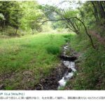 常見谷戸（じょうけんやと） 細長い田んぼで底なしに深い箇所があり、丸太を渡して稲作し、耕耘機も使えないほどのどぶ田だった。