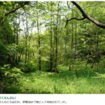 九遠分（くえんぶん） 九衛門さん分とも言われ、終戦頃まで畑として利用されていた。